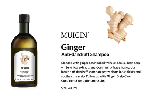 MUICIN - Ginger Anti-Hair Loss Shampoo - Stimulate & Nourish