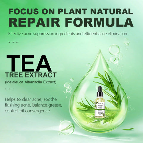 MUICIN - Shrink Pores Tea Tree Face Serum - Clarified Smoothness