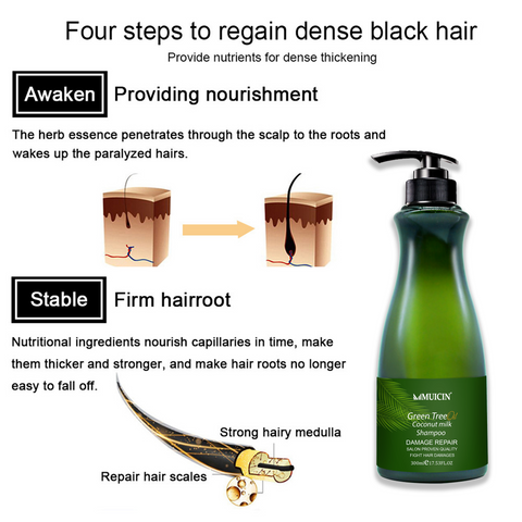 MUICIN - Green Tea & Coconut Milk Hair Shampoo - Refreshing Vitality