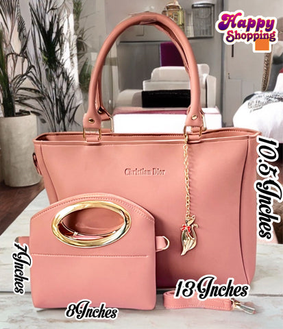 High Quality Christian Dior 2pc Shoulder Bag For Girls