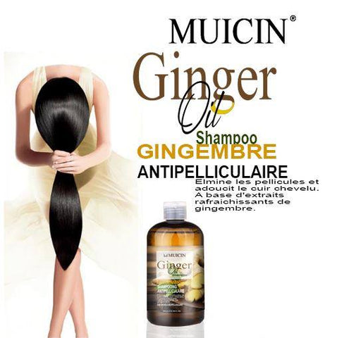 MUICIN - Ginger Oil Shampoo Gingembre For Anti-Hair Fall & Dandruff Control - Dual Action Scalp Care