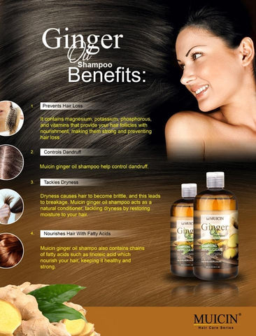 MUICIN - Ginger Oil Shampoo Gingembre For Anti-Hair Fall & Dandruff Control - Dual Action Scalp Care