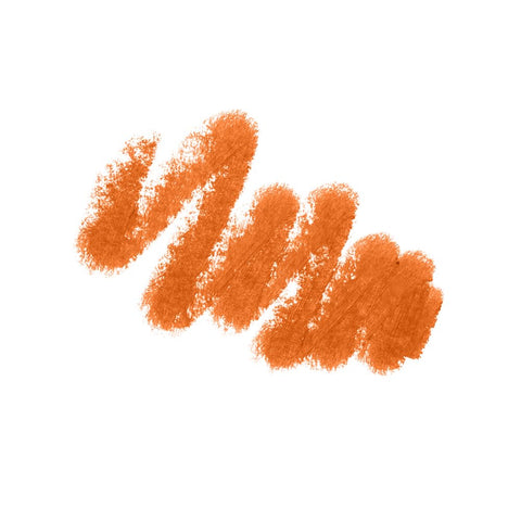 LAMEL Oh My Color Gel Eye Liner 406 Orange